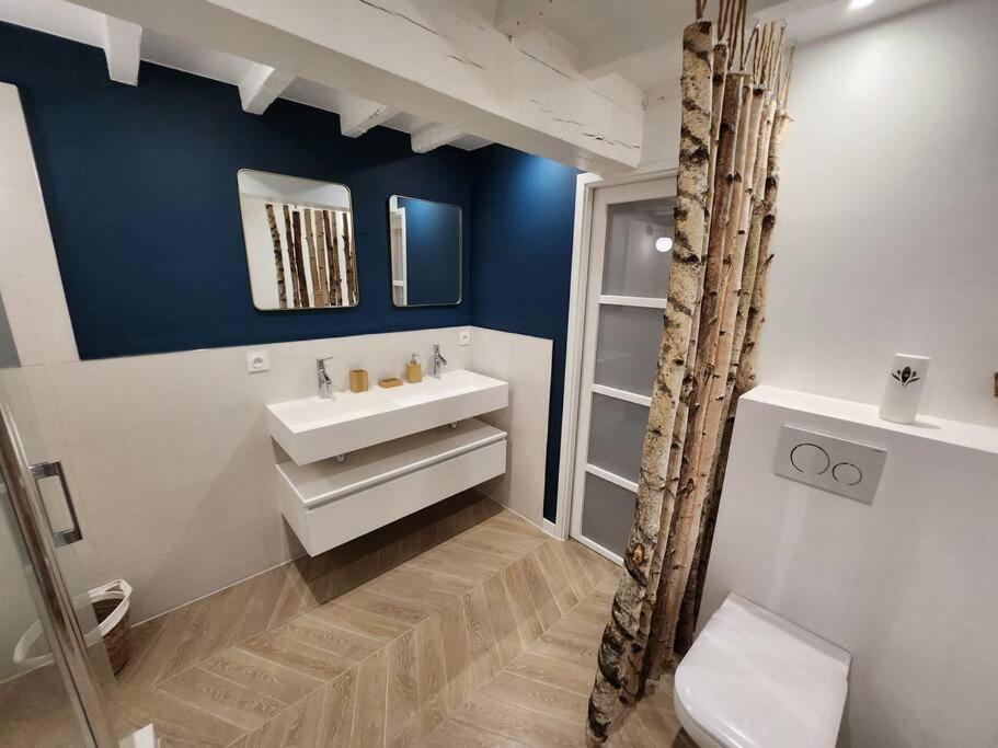 Appart'Hotel Blois Vue Chateau Ngoại thất bức ảnh